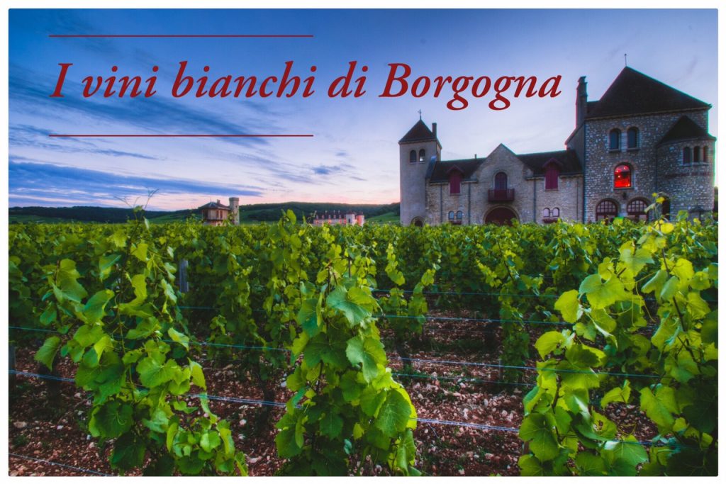 I vini bianchi di Borgogna 3