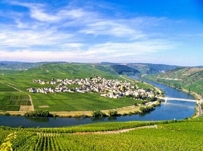 MasterClass: Il Riesling: storia e territori. Mosel Saar Ruwer 1