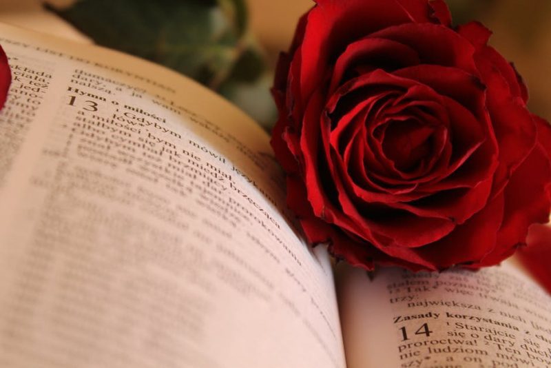 Un calice e un libro per la Giornata Mondiale del libro (e delle rose)