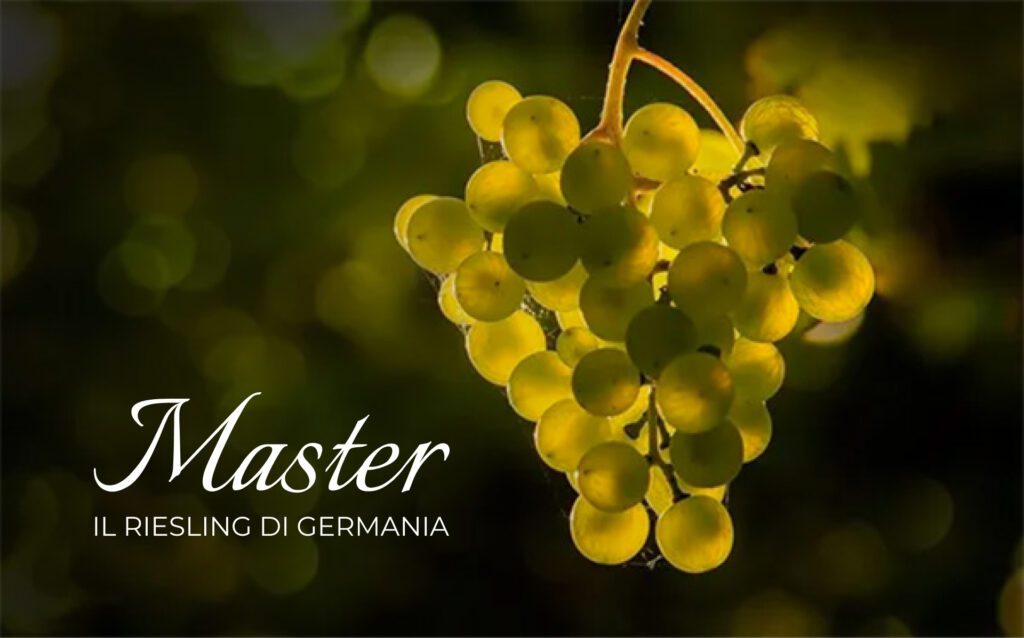 Master - Il Riesling di Germania 1