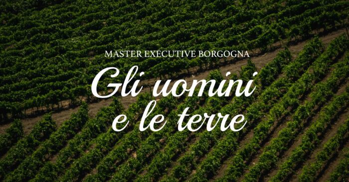 CORSO COMPLETO - Master Executive Borgogna